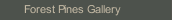 Forest Pines Gallery