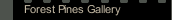 Forest Pines Gallery